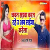 About Jawan Sadwa Karat Rahe Song